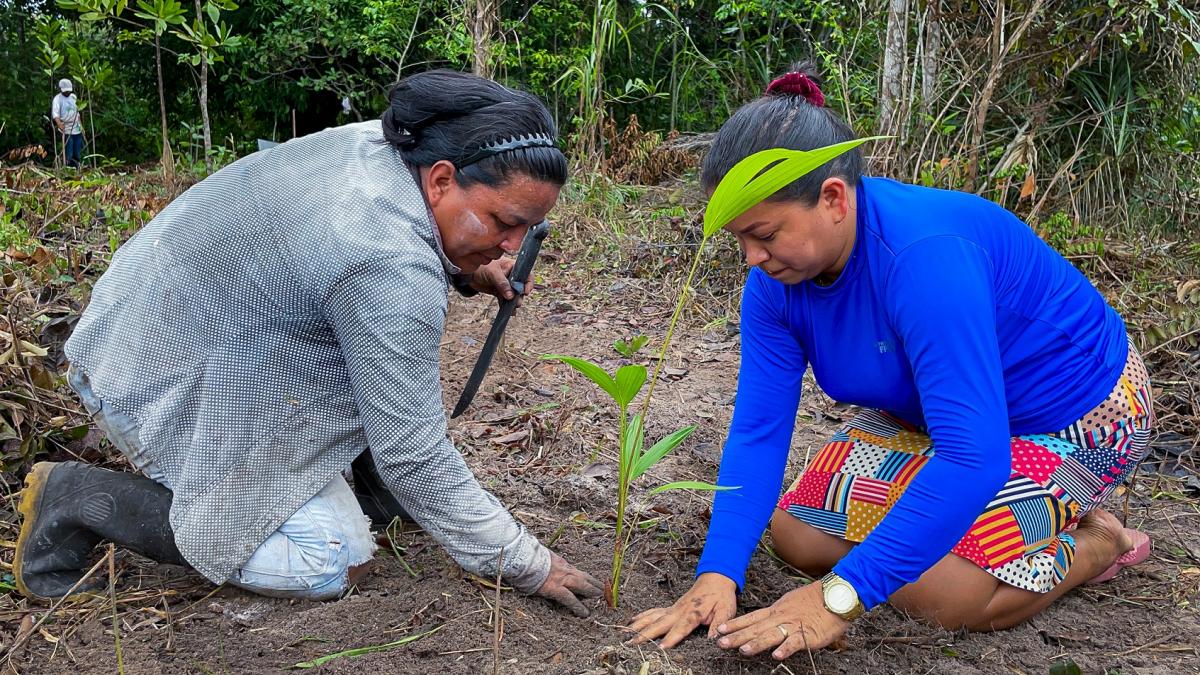 Duas estudantes da Refloramaz plantando um lote agroflorestal © Ianca Moreira, Refloramaz
